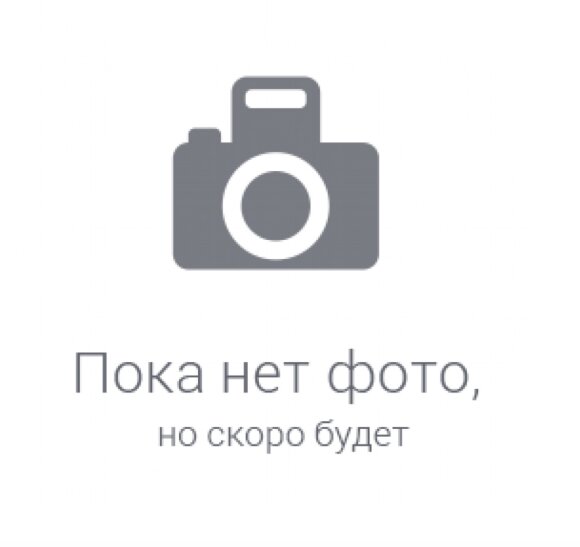 Remer Душевая лейка 317MMDS хром