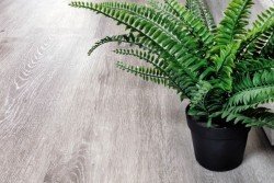 Alpine floor Кварцвиниловая плитка ясень серый, серый - ЕСО 134-5