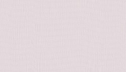 BN обои smalltalk (1x1) 2 10,05x0,53 винил на флизелине арт. BN 219221