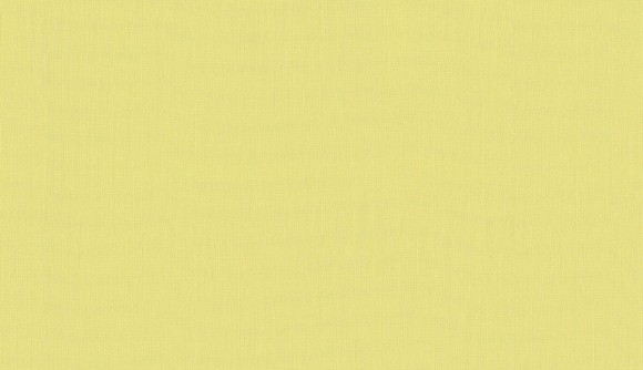 BN обои smalltalk (1x1) 2 10,05x0,53 винил на флизелине арт. BN 219222