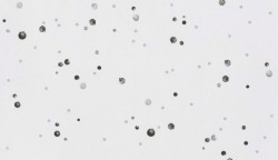 BN обои smalltalk (1x1) 2 10,05x0,53 винил на флизелине арт. BN 219236