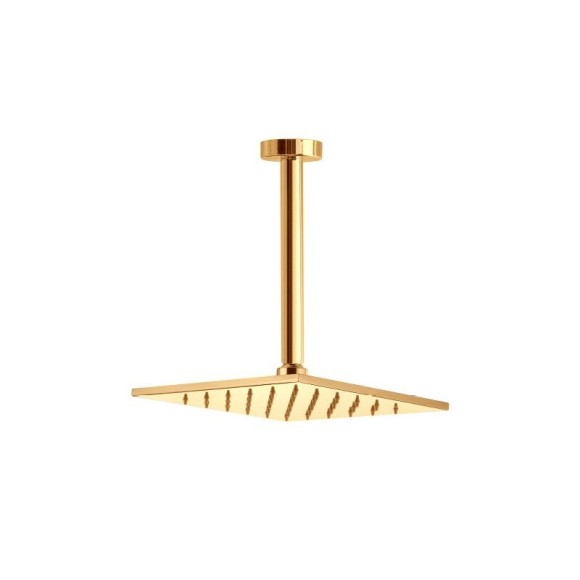 Webert верхний душ, AC0942010 цвет: золото