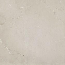 Azteca Керамогранит lux grey 60x60, под камень, Passion арт. 78796619 Azteca Керамогранит lux grey 60x60, под камень, Passion арт. 78796619