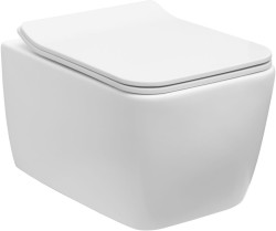 Allen Brau Унитаз подвесной, безободковый, Liberty арт. 4.33007.21