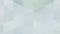 BN обои smalltalk (1x1) 2 10,05x0,53 винил на флизелине арт. BN 219282