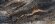 Neodom Керамогранит Titanium Lawa Nero 120*278 Polished, под оникс - N20378