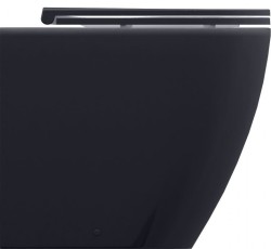 Allen Brau Унитаз приставной, безободковый, Reality Черный арт. 4.32004.AN