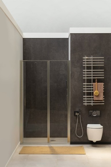 Allen Brau Душевая дверь Priority, серебробраш - 3.31035.BA