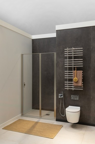 Allen Brau Душевая дверь Priority, серебробраш - 3.31035.BA