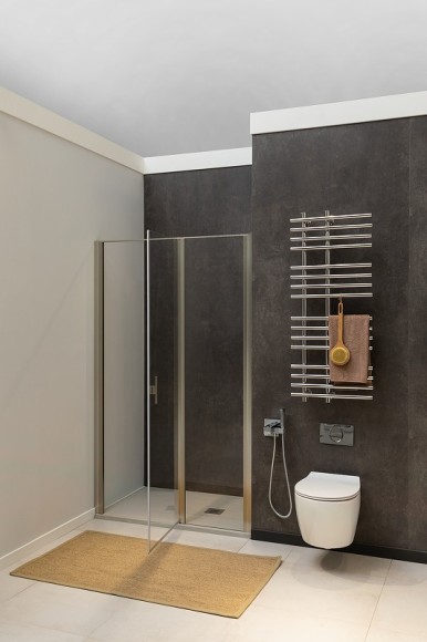 Allen Brau Душевая дверь Priority, серебробраш - 3.31035.BA