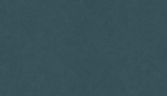 BN обои grand safari (1x1) 2 10,05x0,53 винил на флизелине арт. BN 220507