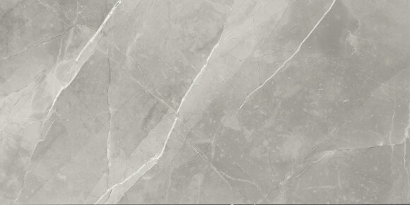 Neodom Керамогранит Sale 60x120 Fior di Bosco Polished, под мрамор - N70005