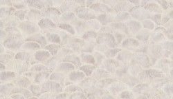BN обои fiore (1x1) 2 10,05x0,53 винил на флизелине арт. BN 220451 BN обои fiore (1x1) 2 10,05x0,53 винил на флизелине арт. BN 220451