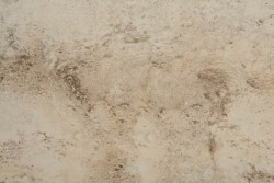 Alpine floor Кварцвиниловая плитка ричмонд, бежевый - ЕСО 2004-1