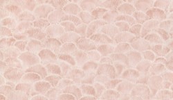 BN обои fiore (1x1) 2 10,05x0,53 винил на флизелине арт. BN 220453 BN обои fiore (1x1) 2 10,05x0,53 винил на флизелине арт. BN 220453