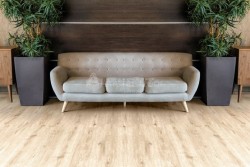 Alpine floor Кварцвиниловая плитка дуб ваниль, бежевый - ЕСО 106-2