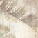 Ibero Керамогранит Dec.Boreal Taupe (Mix) 20x20, флора - ПП-00033620