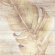 Ibero Керамогранит Dec.Boreal Taupe (Mix) 20x20, флора - ПП-00033620
