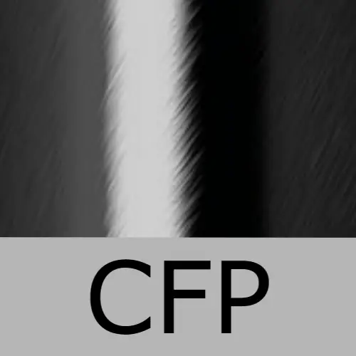 Remer Душевая штанга Minimal 317GCFP, цвет: черный