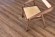 Alpine floor Кварцвиниловая плитка сосновый бор, коричневый - ЕСО 5-22