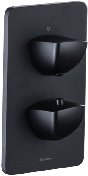 Allen Brau Смеситель для ванны (с внутренней частью), Infinity, 5.21216-31 цвет: черный матовый