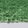 WasserKRAFT Коврик для ванной dill bm-3953 medium green цвет: зеленый